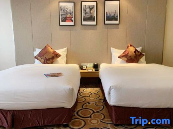 Standard Double room with city view