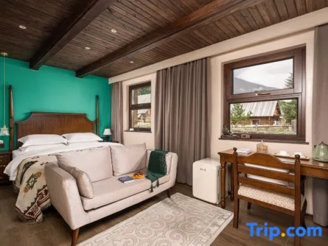 Standard Double room with mountain view