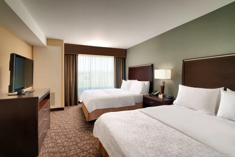 Quadruple Suite