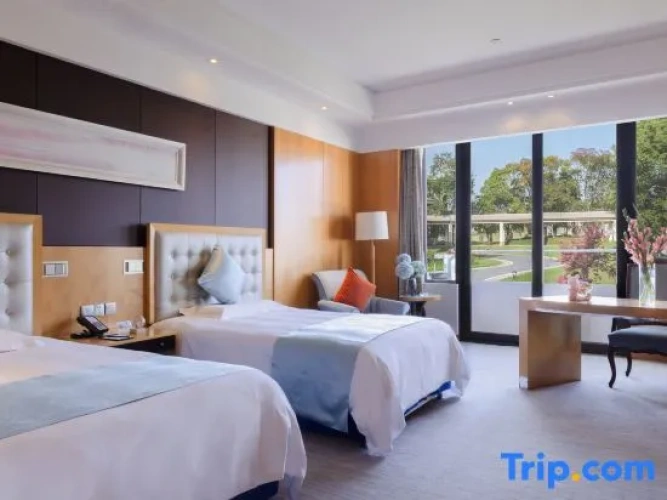 Deluxe Double room with balcony and with garden view