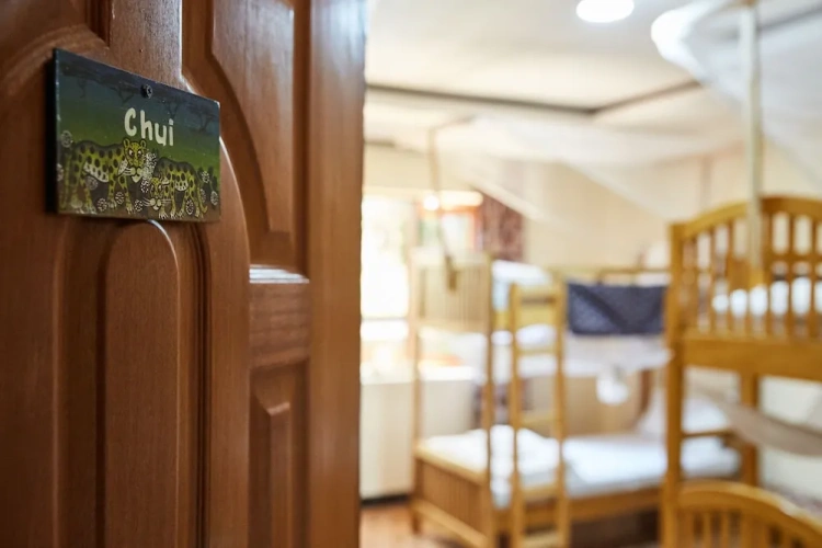 Bed in Dorm