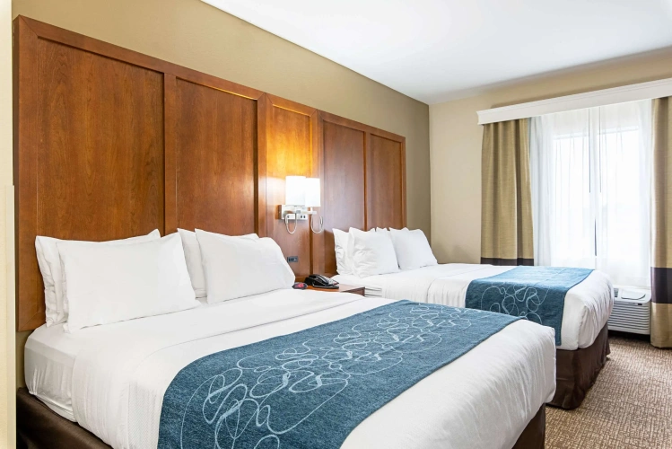 Quadruple Suite