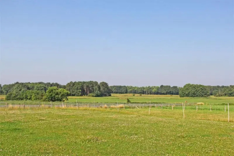 Ferienwohnung Gro_ Quassow SEE 7841