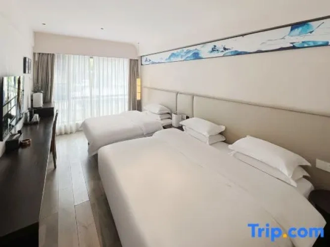 Standard Twin Family room