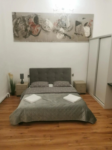 Central Designer Flat