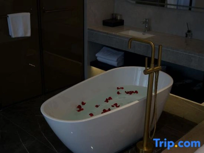 Luxury Suite