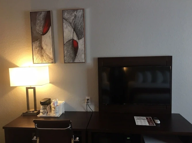 1 Bedroom Suite