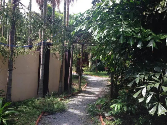 Oasis Garden Guesthouse