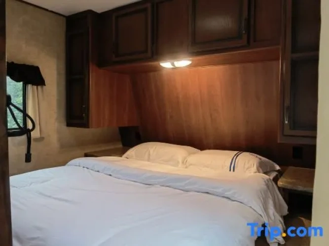 Bed in Dorm
