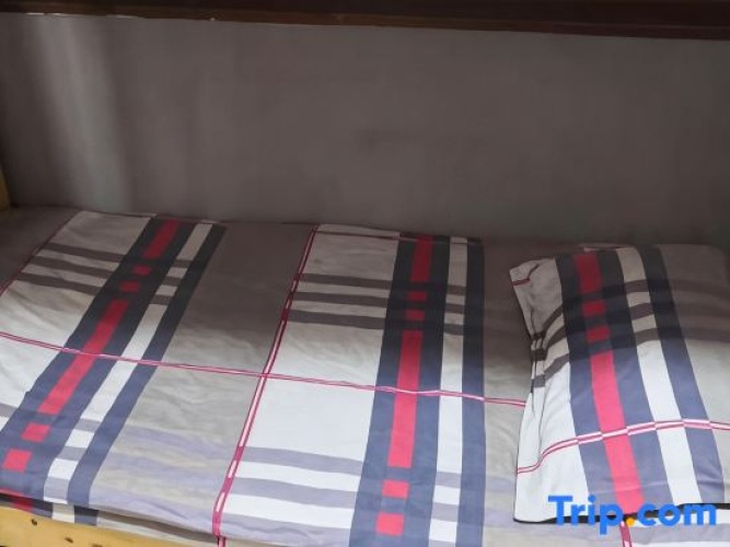 Bed in Dorm