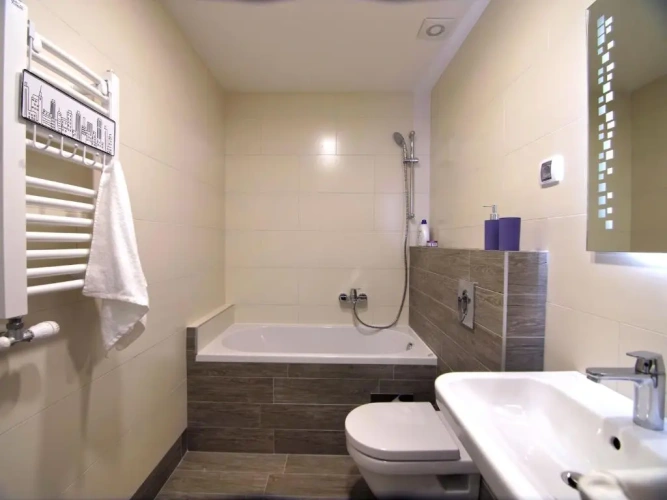1 Bedroom Apartment