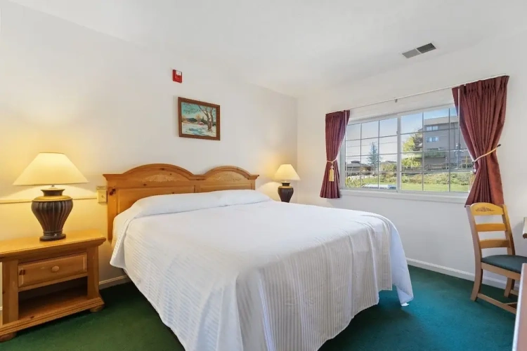 1 Bedroom Suite
