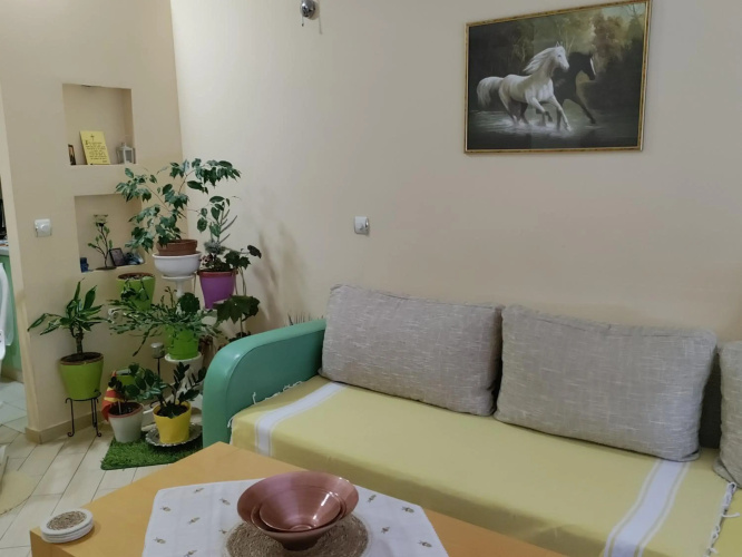 Central apartment