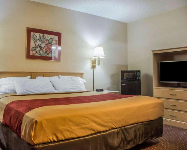 Econo Lodge Dewitt I-90