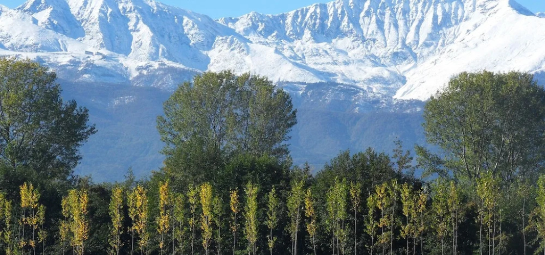 Cascina Marie