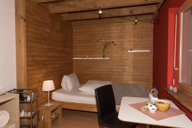 Standard Single room with view