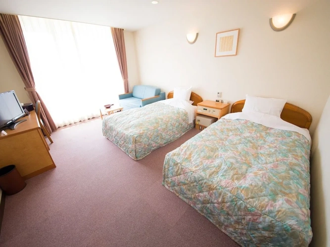 Standard Twin room with mountain view