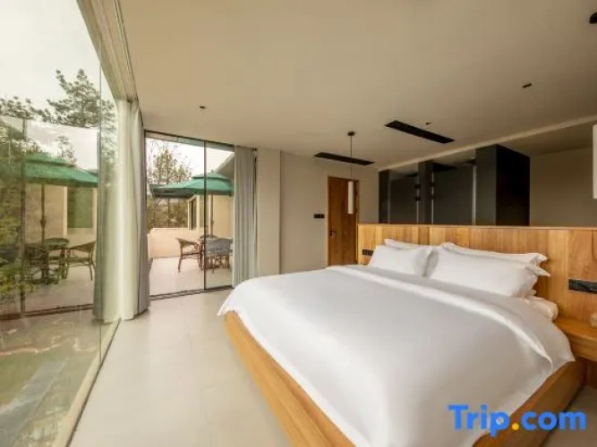 Standard Double room with balcony and with mountain view