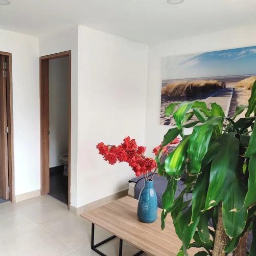 Standard Double Apartment