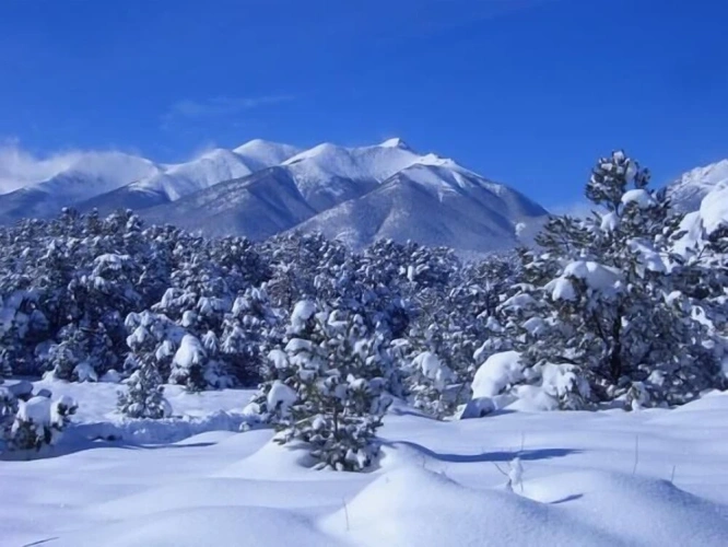 2 Bedrooms Comfort Cottage