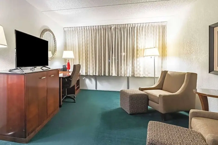 Quadruple Suite