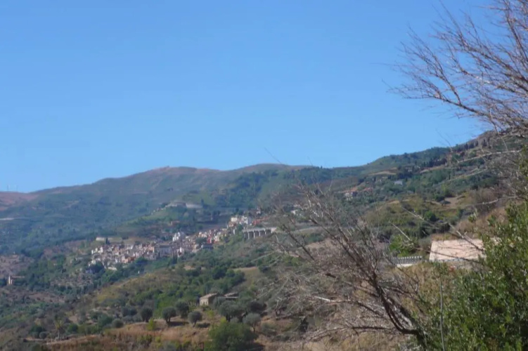 Contrada Carmine
