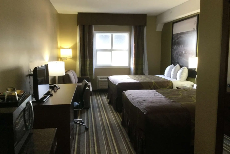 Quadruple Suite