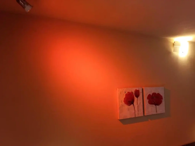 Basement Apartment