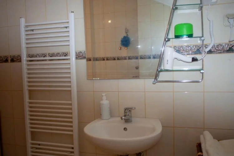 Superior Double room with mountain view