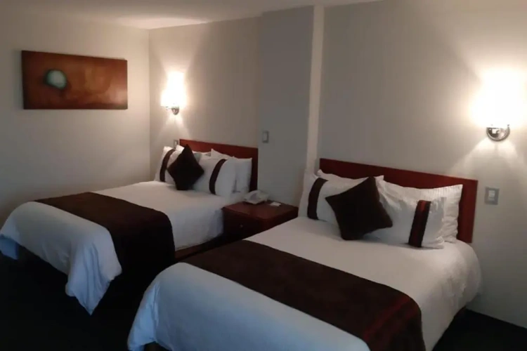 Standard Twin room with view