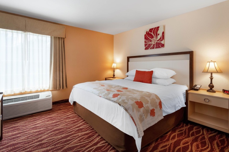 Deluxe Double Suite