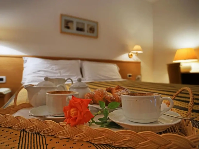 Standard Single room
