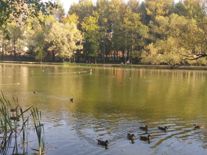 Фотография номера квартиры Апартаменты на улице Институтская