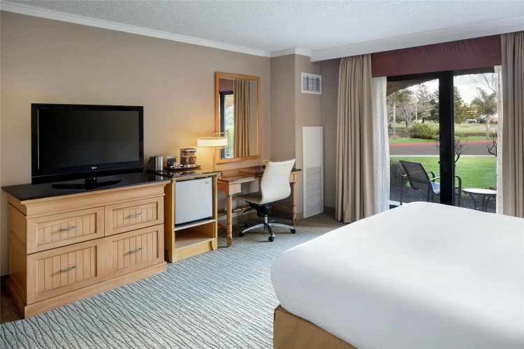 Standard Double room with balcony and with courtyard view