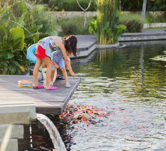The Ritz-Carlton Bali VillasOver view