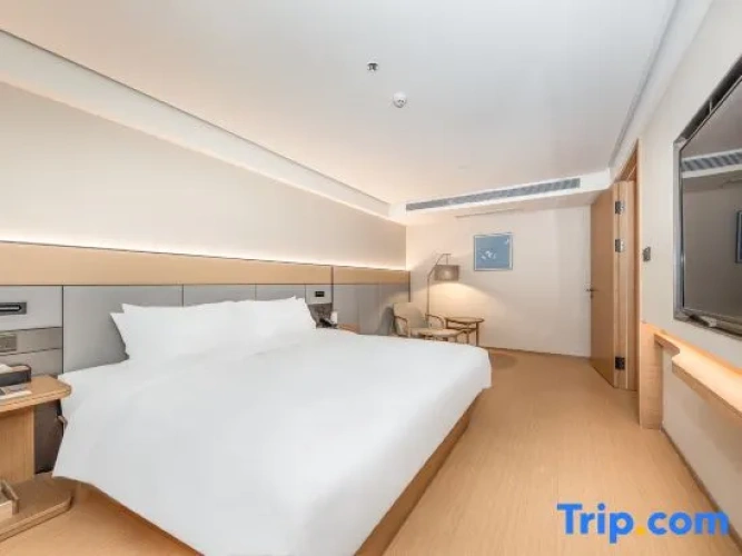 1 Bedroom Suite