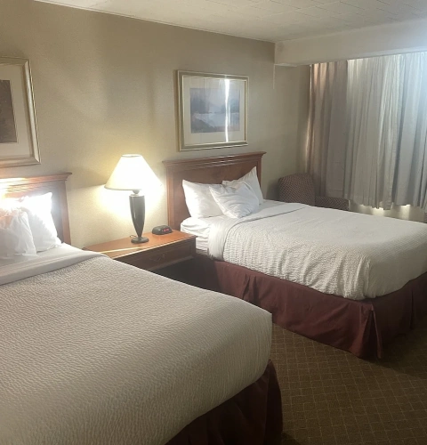 Superior Quadruple room with view
