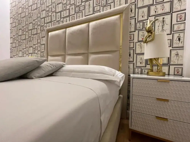 Luxury Apartment