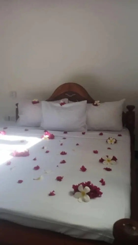 Casa maisha