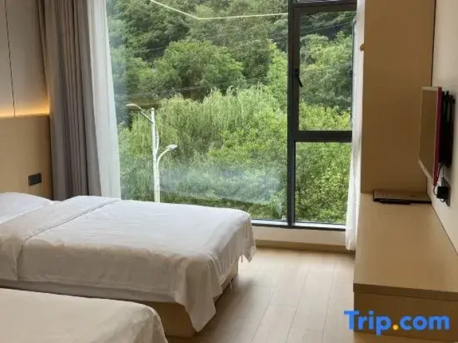 Standard Double room with view