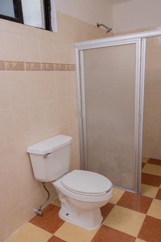 Quadruple Suite