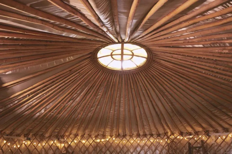 Mushroom Yurt