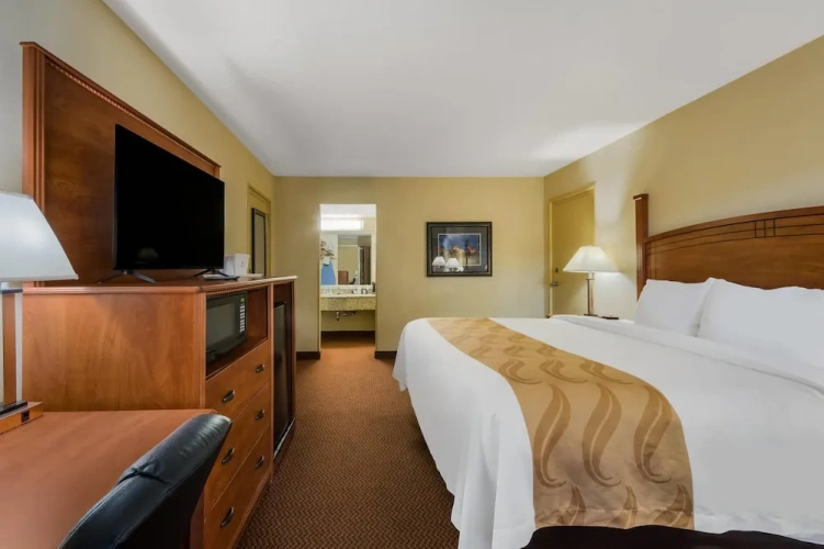 Standard Double room with pool view