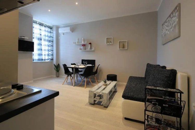 1 Bedroom Apartment