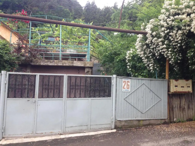 Green Borjomi