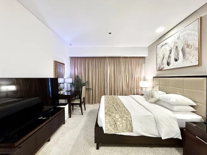 Luxury Studio