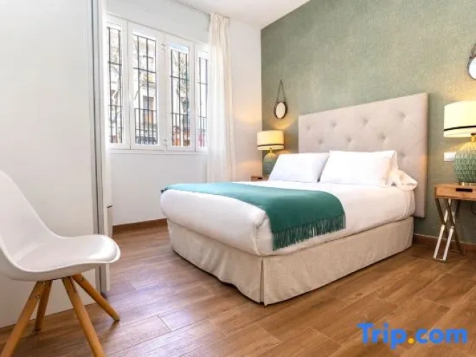 3 Bedrooms Apartment
