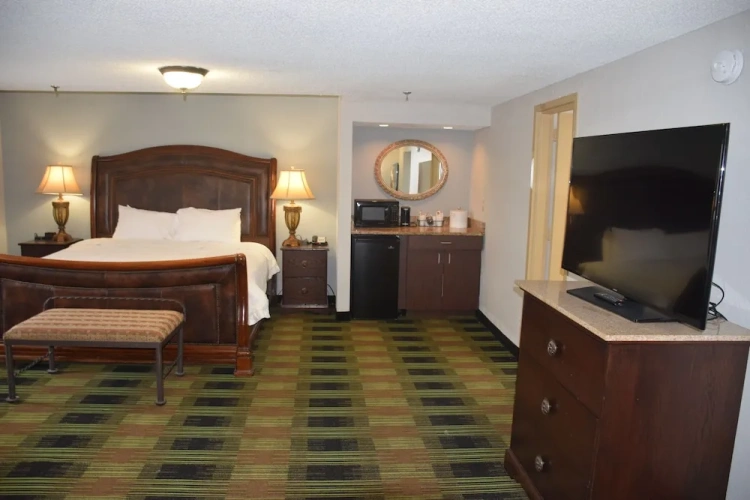 1 Bedroom Deluxe Suite