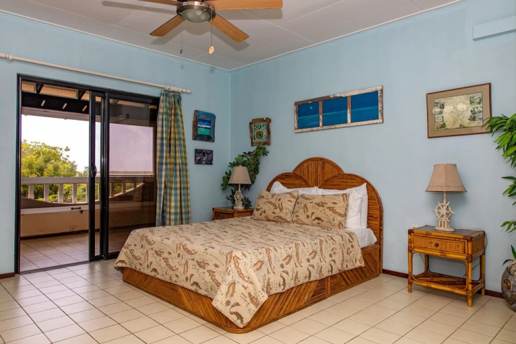 Sand Dollar Bonaire