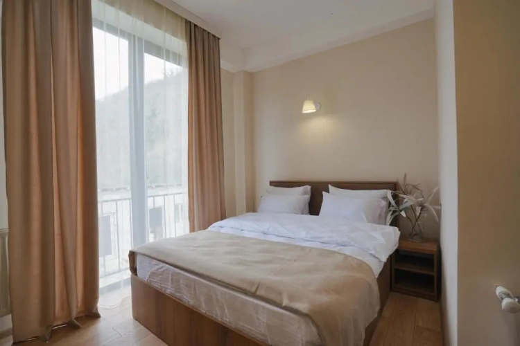 Standard Double room with mountain view